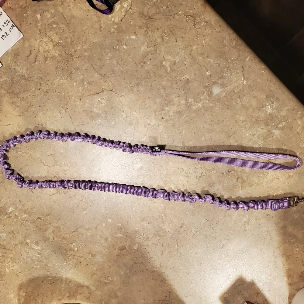 PETSAFE - COME WITH ME KITTY HARNESS & BUNGEE LEASH - ADJUSTABLE - purple